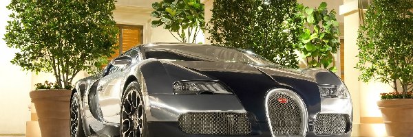 Bugatti Veyron, Budynek, Oświetlony, Auto