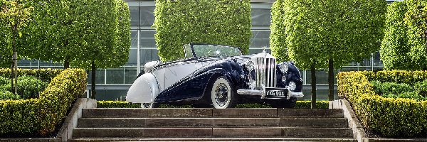 1952, Rolls Royce Silver Dawn