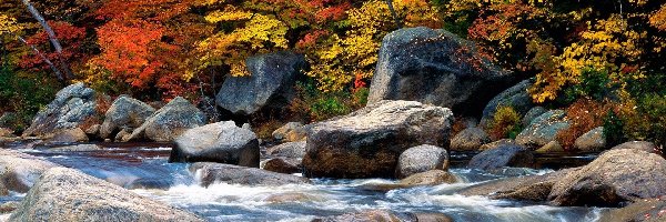 Kamienie, Rzeka, Jesień