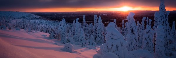Wzgórze Sallatunturit, Zima, Finlandia, Zachód słońca, Drzewa
