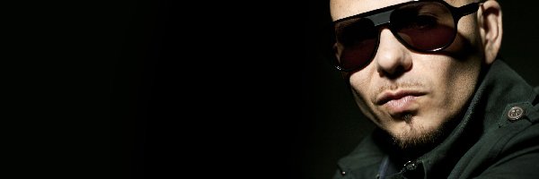 Piosenkarz, Pitbull