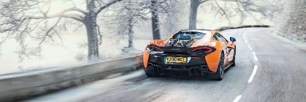 Zima, Ośnieżone, Drzewa, Droga, 2016, McLaren 570S by Novitec