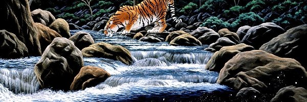 William Schimmel, Rzeka, Tygrys