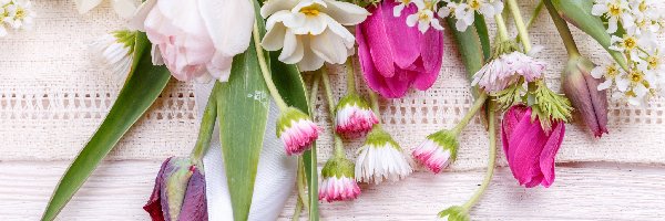 Tulipany, Bukiet, Stokrotki, Kwiaty