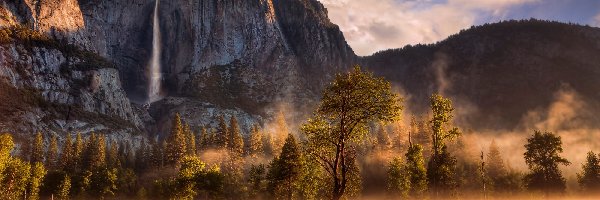 Mgła, Park Narodowy Yosemite, Skały, Stan Kalifornia, Stany Zjednoczone, Góry, Drzewa