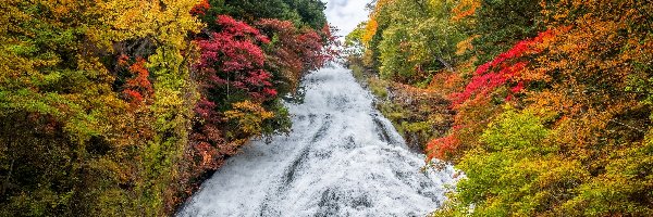 Jesień, Park Narodowy Nikko, Wodospad Yudaki, Drzewa, Prefektura Tochigi, Japonia