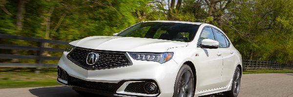 Drzewa, Droga, Acura TLX