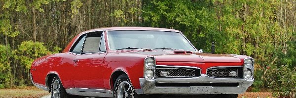 1967, Czerwony, GTO, Zabytek, Samochód, Pontiac