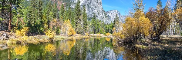 Góry, Kalifornia, Jezioro, Drzewa, Park Narodowy Yosemite, Stany Zjednoczone
