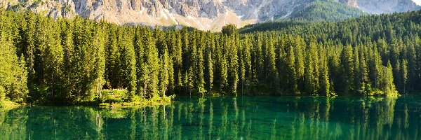Las, Góry, Jezioro Karersee, Odbicie, Dolomity, Włochy