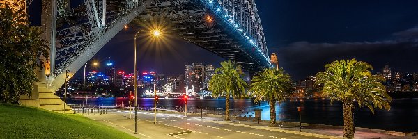 Noc, Sydney, Palmy, Światła, Most, Rzeka, Droga, Australia