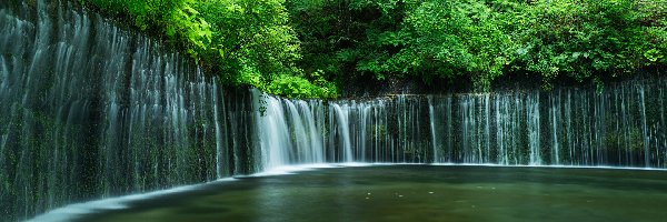 Japonia, Park Narodowy Fudżi Hakone Izu, Wodospad Shiraito Falls, Drzewa, Skały