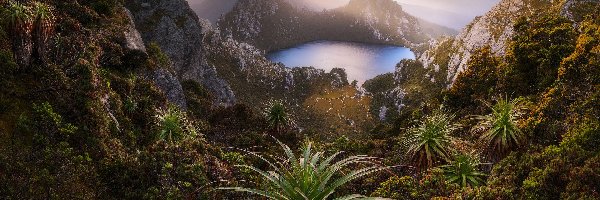 Rośliny, Park Narodowy Southwest, Góry, Tasmania, Australia, Jezioro Oberon, Skały