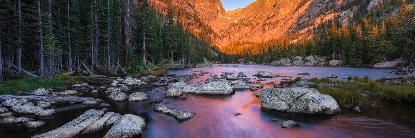 Góry, Stan Kolorado, Las, Drzewa, Park Narodowy Gór Skalistych, Jezioro Dream Lake, Kamienie, Stany Zjednoczone