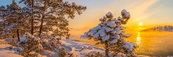 Drzewa, Jezioro Ładoga, Rosja, Republika Karelii, Ośnieżone, Mgła, Wschód słońca, Zima