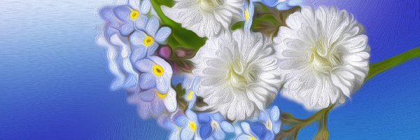 Niebieskie tło, Niezapominajki, Kwiaty