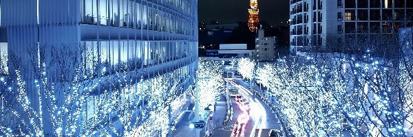 Tokio, Drzewa, Nocą, Dekoracja, Świąteczna