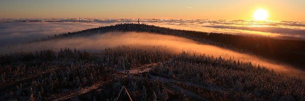 Mgła, Lasy, Wzgórze, Wschód słońca