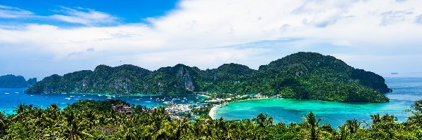 Palmy, Morze Andamańskie, Plaża, Roślinność, Wyspa Ko Phi Phi Don, Tajlandia