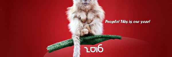 2016, Przesłanie, Małpa, Nowy Rok