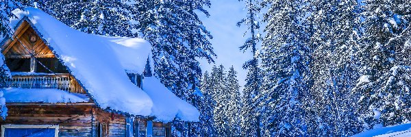 Zima, Ośnieżone, Dom, Śnieg, Drzewa