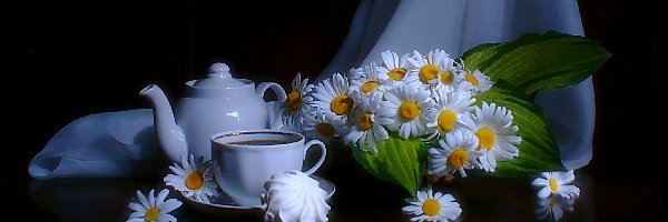 Herbata, Margerytki, Kwiaty