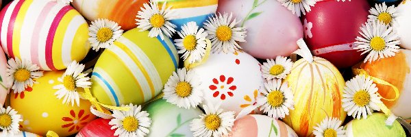 Jajka, Kwiaty, Stokrotki, Wielkanoc
