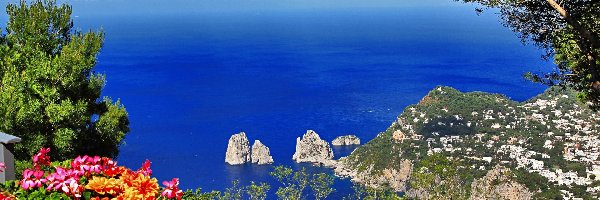 Skały, Capri, Kwiatki, Morze