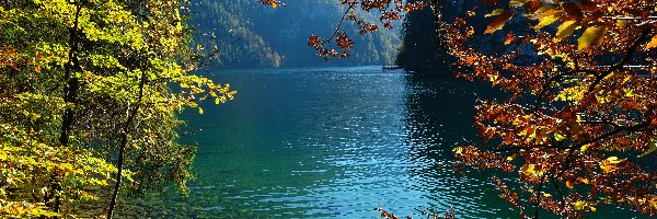 Niemcy, Statek, Drzewa, Park Narodowy Berchtesgaden, Jezioro Konigssee, Bawaria, Gałęzie