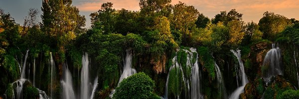 Wodospady Kravica, Drzewa, Rzeka, Bośnia i Hercegowina, Roślinność