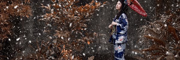 Rośliny, Kimono, Parasol, Śnieg, Kobieta, Azjatka