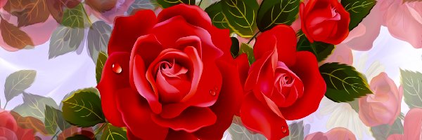 Czerwone, 2D, Róże, Kwiaty