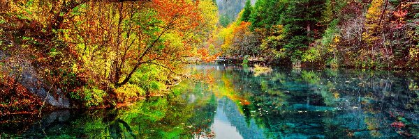 Odbicie, Jezioro Pięciu Kwiatów, Jezioro Wu Hua Hai, Park Narodowy Jiuzhaigou, Chiny, Jesień, Drzewa
