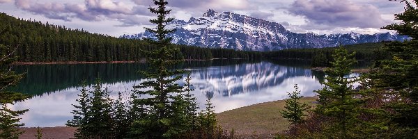 Świerki, Jezioro Vermilion, Góry, Park Narodowy Banff, Kanada, Lasy, Szczyt Mount Rundle