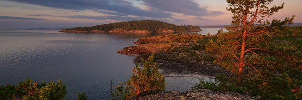 Wschód słońca, Rosja, Drzewa, Karelia, Jezioro Ładoga, Wysepki, Skały