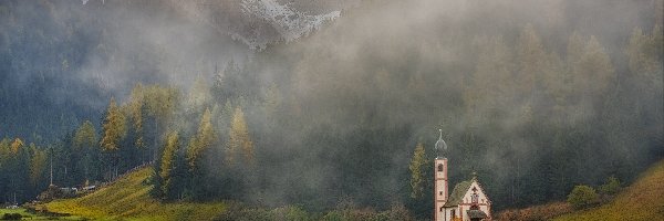 Dolomity, Kościół św. Jana, Włochy, Góry, Lasy, Mgła, Krowy, Dolina Val di Funes, Wzgórza, Prowincja Bolzano