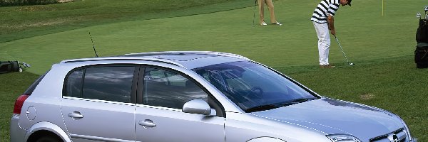 Trawa, Golf, Opel Signum