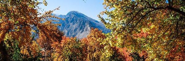 Gilgit-Baltistan, Park, Jesień, Pakistan, Góry Karakorum, Drzewa