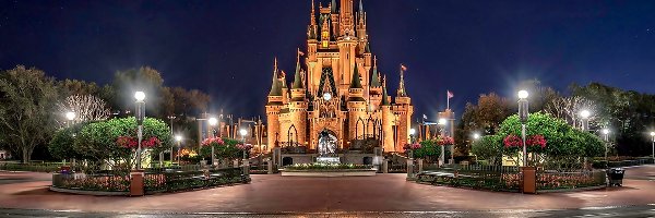 Zamek, Światła, Noc, Disneyland
