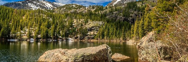 Kamienie, Drzewa, Stany Zjednoczone, Stan Kolorado, Świerki, Jezioro Bear Lake, Park Narodowy Gór Skalistych, Góry