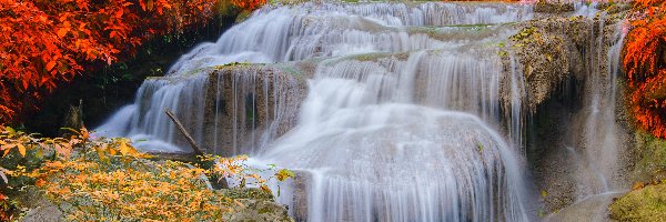 Las, Wodospad, Jesień