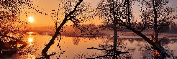 Rzeka Odra, Wschód słońca, Drzewa, Polska