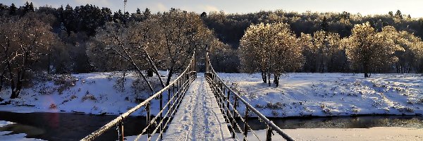 Śnieg, Zamarznięta, Rzeka, Drzewa, Most, Drewniany