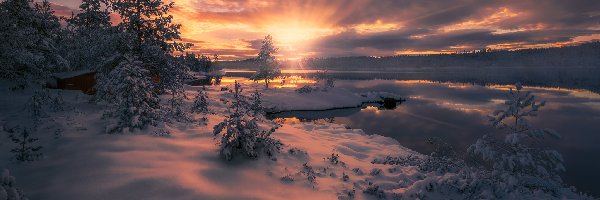 Drzewa, Zima, Jezioro, Zachód słońca, Ringerike, Norwegia
