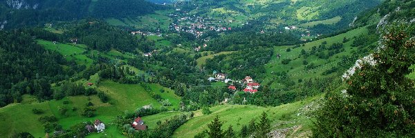 Rumunia, Góry Piatra Craiului, Drzewa, Góry Bucegi, Domy, Transylwania, Dolina
