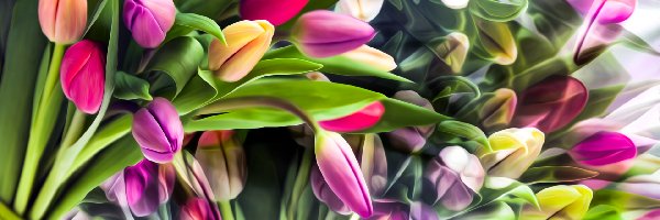Kolorowe, Grafika, Tulipany, Kwiaty
