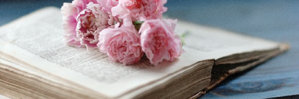 Książka, Kwiatów, Bukiet