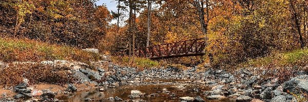 Jesień, Rzeka, Drzewa, Kamienie, Most