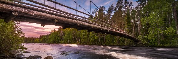 Finlandia, Bystrze Haapavitja, Rzeka Neitijoki, Drzewa, Most