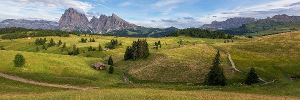 Łąki, Góry, Dolina Val Gardena, Domy, Dolomity, Włochy